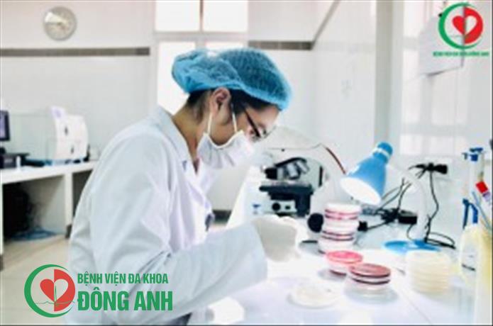 KỸ THUẬT NUÔI CẤY VÀ ĐỊNH DANH VI KHUẨN TẠI BỆNH VIỆN ĐA KHOA ĐÔNG ANH